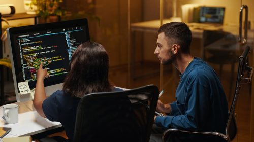 Developers Searching for Bugs