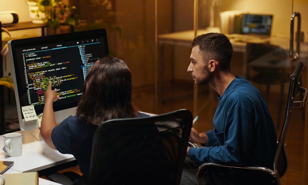 Developers Searching for Bugs